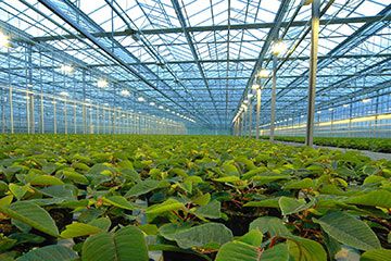 Spartan PLC for Greenhouse automation Spartan PLC for Greenhouse automation