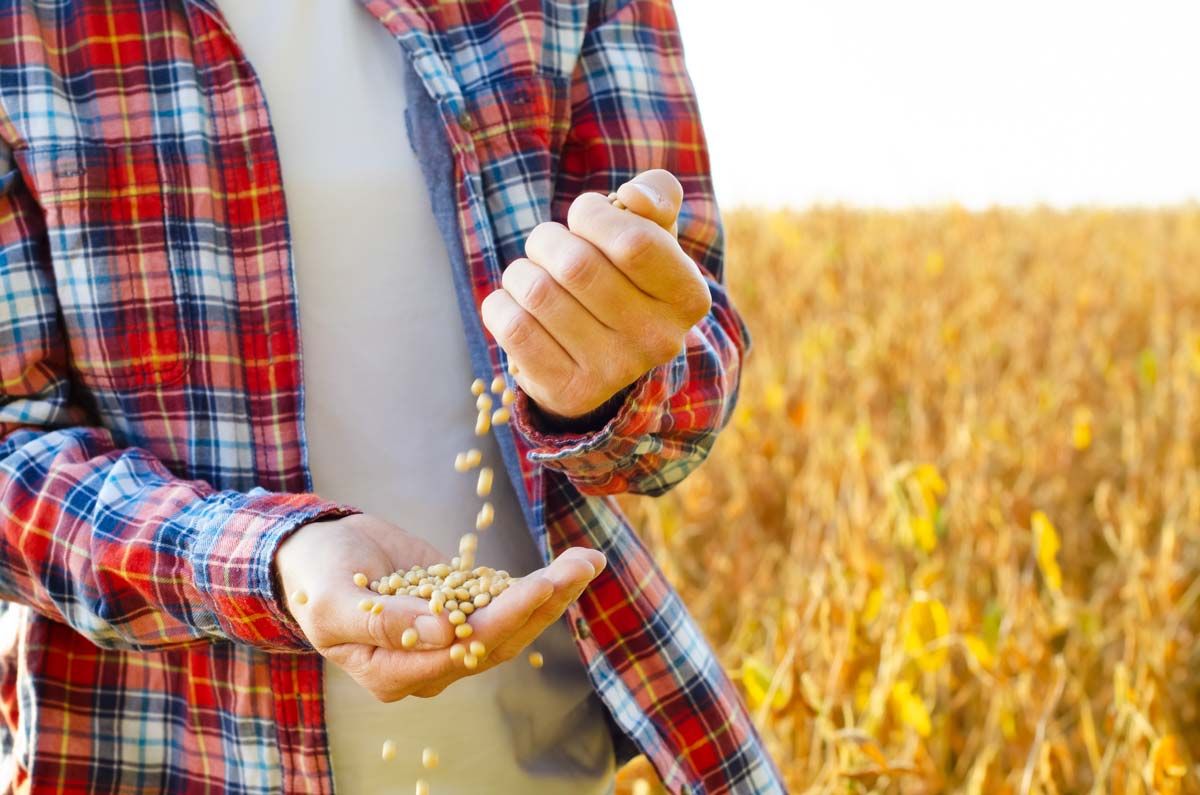 Keeping your harvest safe - Case Study