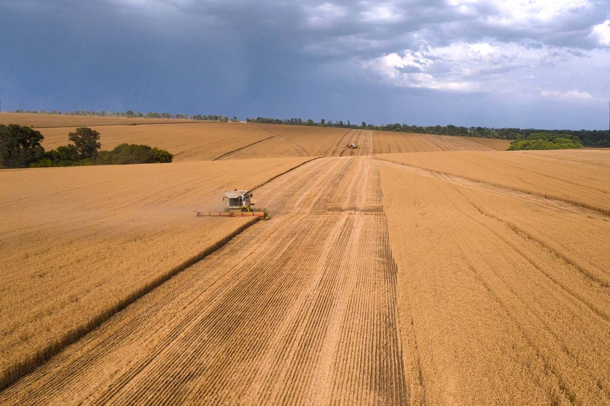 Customer status - Keeping your harvest safe - Case Study