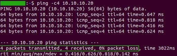 Raspberry Pi Ethernet Ping