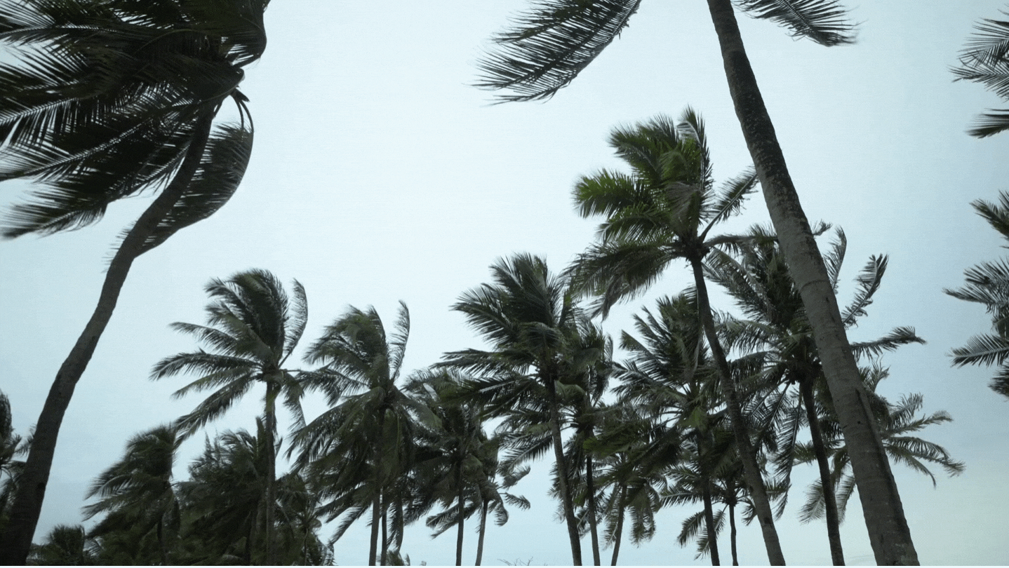 Weather station based on open source technology Weather station based on open source technology