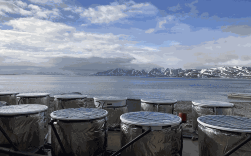 Twelve covered mesocosm tanks on the shore of a fjord in Ny-Ålesund, Svalbard, with snowy mountains behind