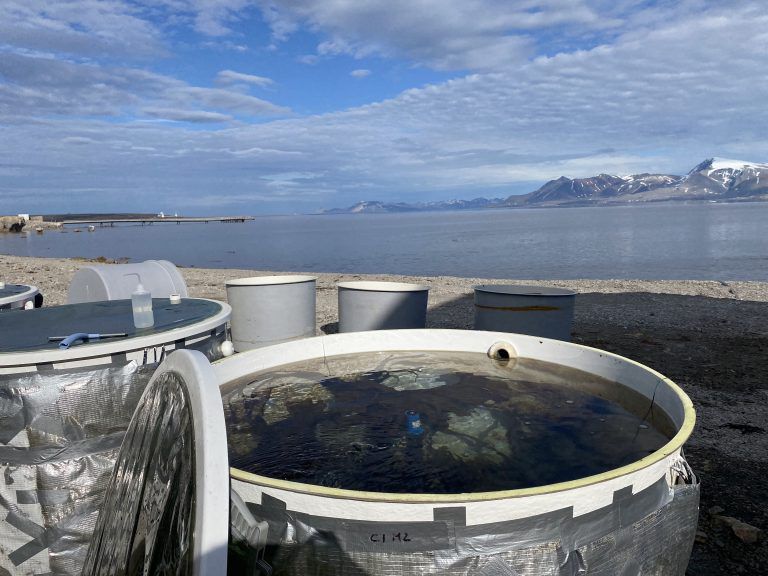An open mesocosm tank full of sea water on the shore in Svalbard, with the fjord and mountains behind