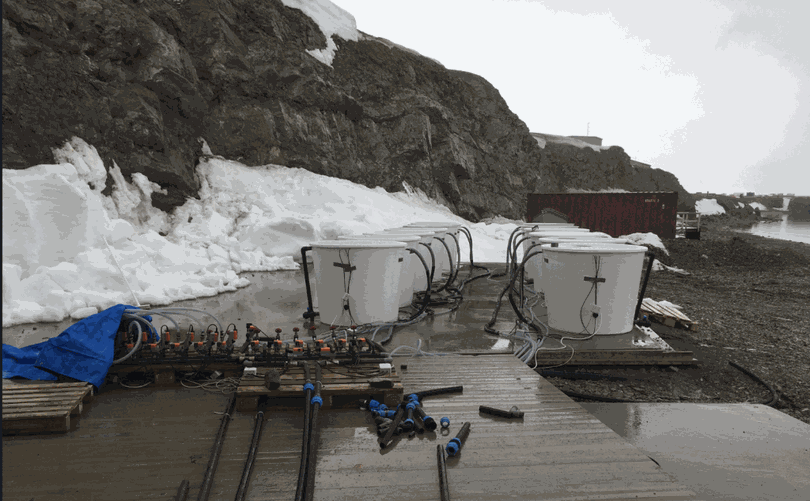 White mesocosm tanks next to a snow bank in Ny-Ålesund, with a pallet of control valves and hoses in front