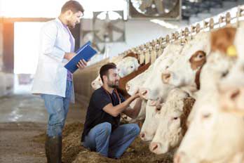 Farming Projects with Arduino, Raspberry Pi or ESP32 Farming Projects with Arduino, Raspberry Pi or ESP32