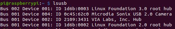 Type again command lsusb - How to Assign a USB port in Raspberry PLC