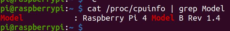 Por software - Cómo identificar mi modelo de Raspberry Pi - Cómo comprobar el tamaño de la RAM del PLC de Raspberry
