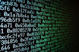 Raspberry image Raspberry image