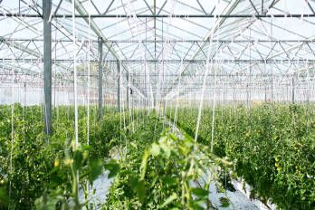 Greenhouse with Arduino, Raspberry Pi or ESP32 Greenhouse with Arduino, Raspberry Pi or ESP32