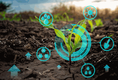 IoT solutions for agriculture