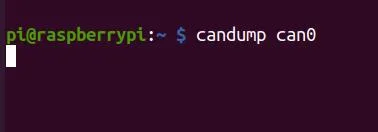 Terminal of the first Raspberry PLC running candump can0 and waiting for frames